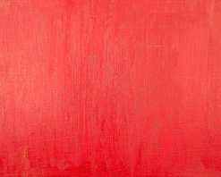 poppies red oil painting